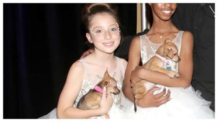 Ava Baroni: The Rising Star of the Entertainment World