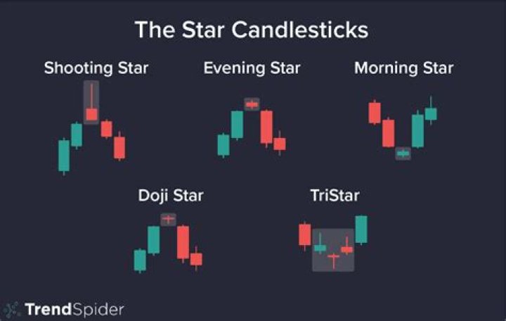 Camilla S: The Rising Star in the Entertainment Industry