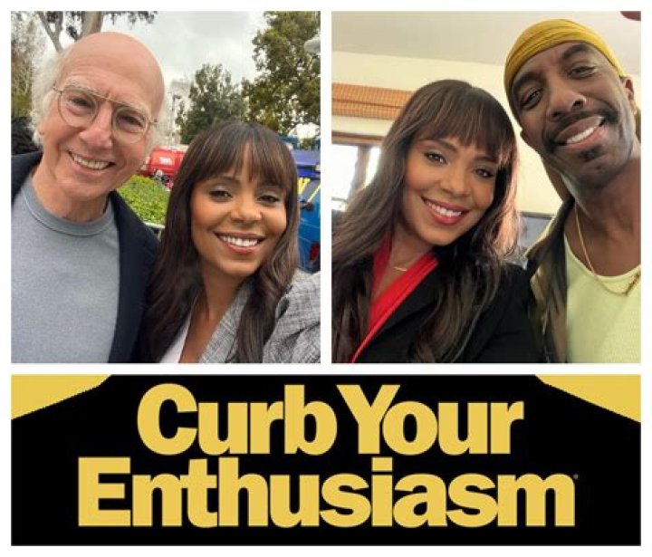 Curb Your Enthusiasm Cast: A Deep Dive into the Iconic Characters