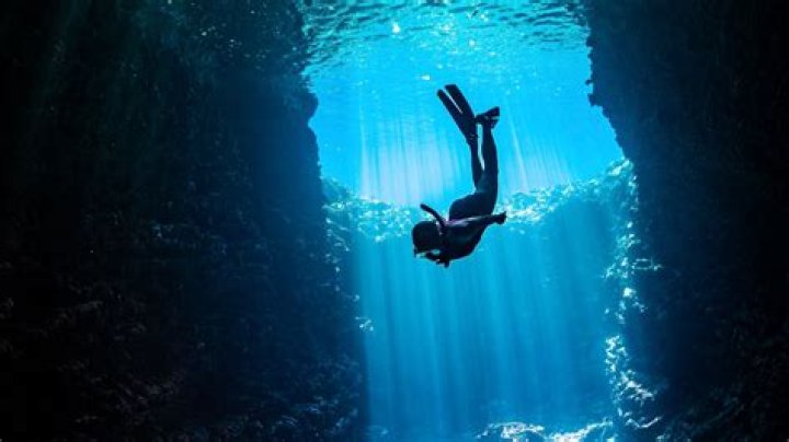 Discovering the Allure of TopFapGirls: A Deep Dive into the World of Adult Entertainment