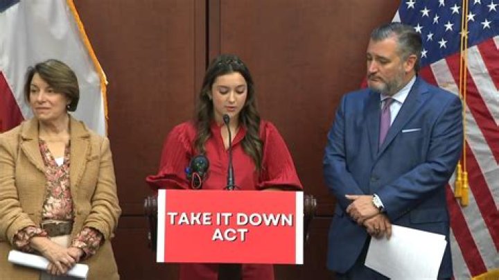 Exploring the Controversy of Deepfake Porn: The Case of Karina