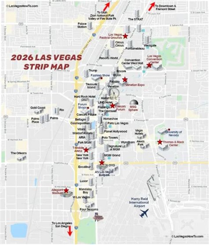 Exploring the Vibrant World of Vegas South