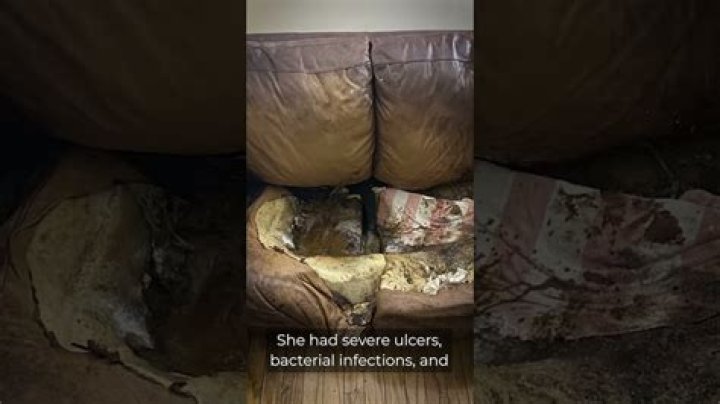 Lacey Fletcher Crime Scene Photos: A Deep Dive into a Tragic Case