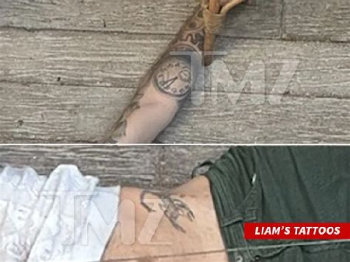 Liam Payne's Anatomy: Unraveling the Mystery of Liam Payne Penis