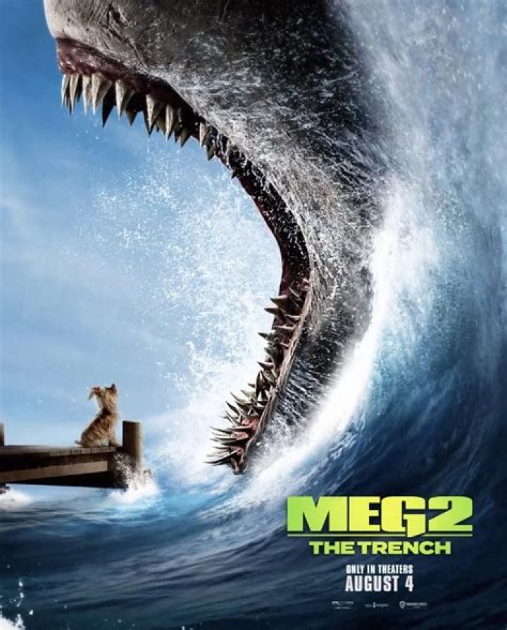 The Exciting Journey of the Meg Nut Fan Bus
