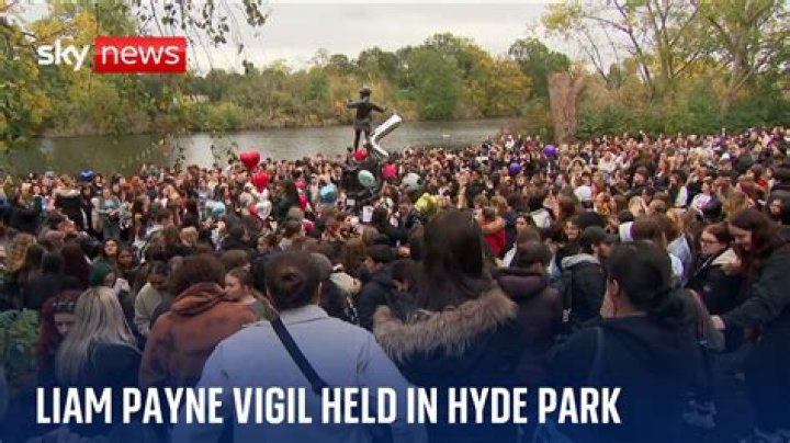 Unveiling the Heart of the Liam Payne Fandom Name