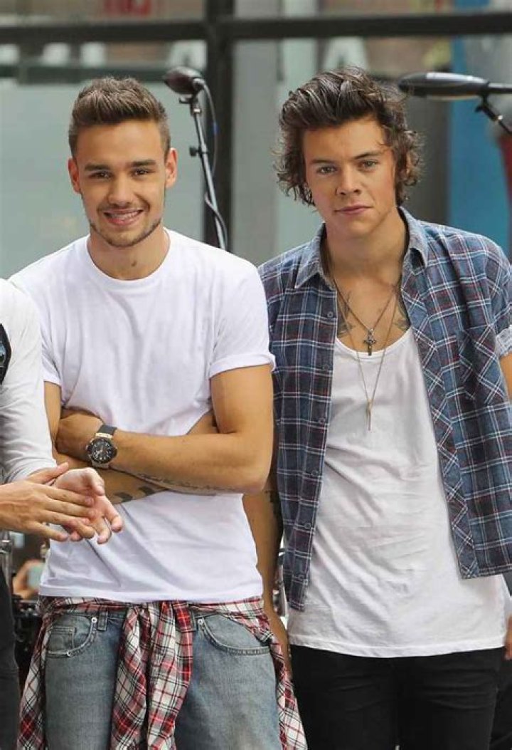 Unveiling the Intriguing Dynamic of Harry Styles and Liam Payne's Relationship
