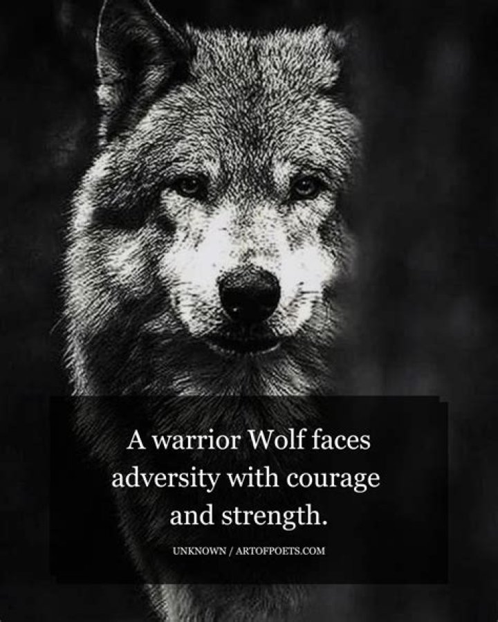Unveiling the World of Circus Wolves: Strength, Grace, and Adaptability